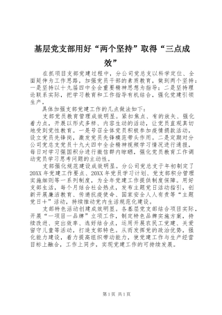 2024年基层党支部用好两个坚持取得三点成效