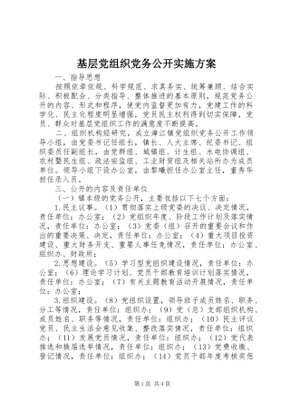 2024年基层党组织党务公开实施方案