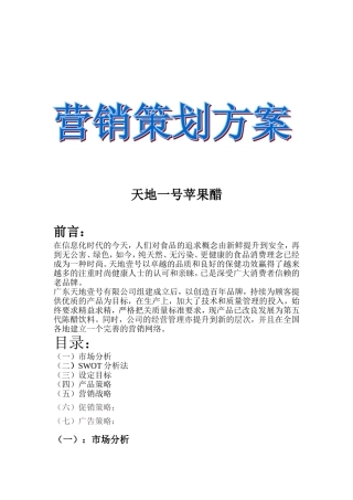 天地一号苹果醋营销策划书