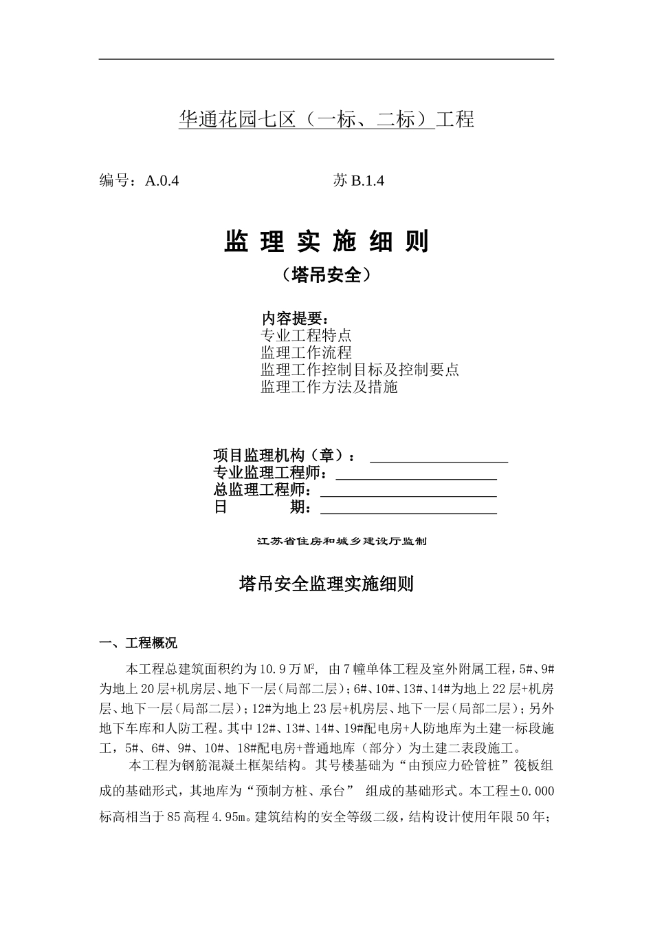 塔吊安全监理细则_第1页