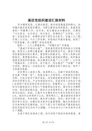 2024年基层党组织建设汇报材料