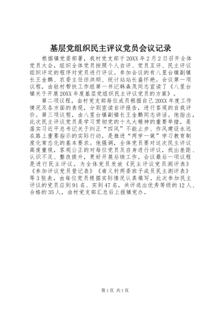 2024年基层党组织民主评议党员会议记录