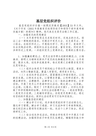 2024年基层党组织评价