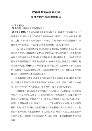 天然气-申请报告