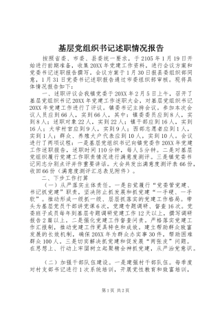 2024年基层党组织书记述职情况报告