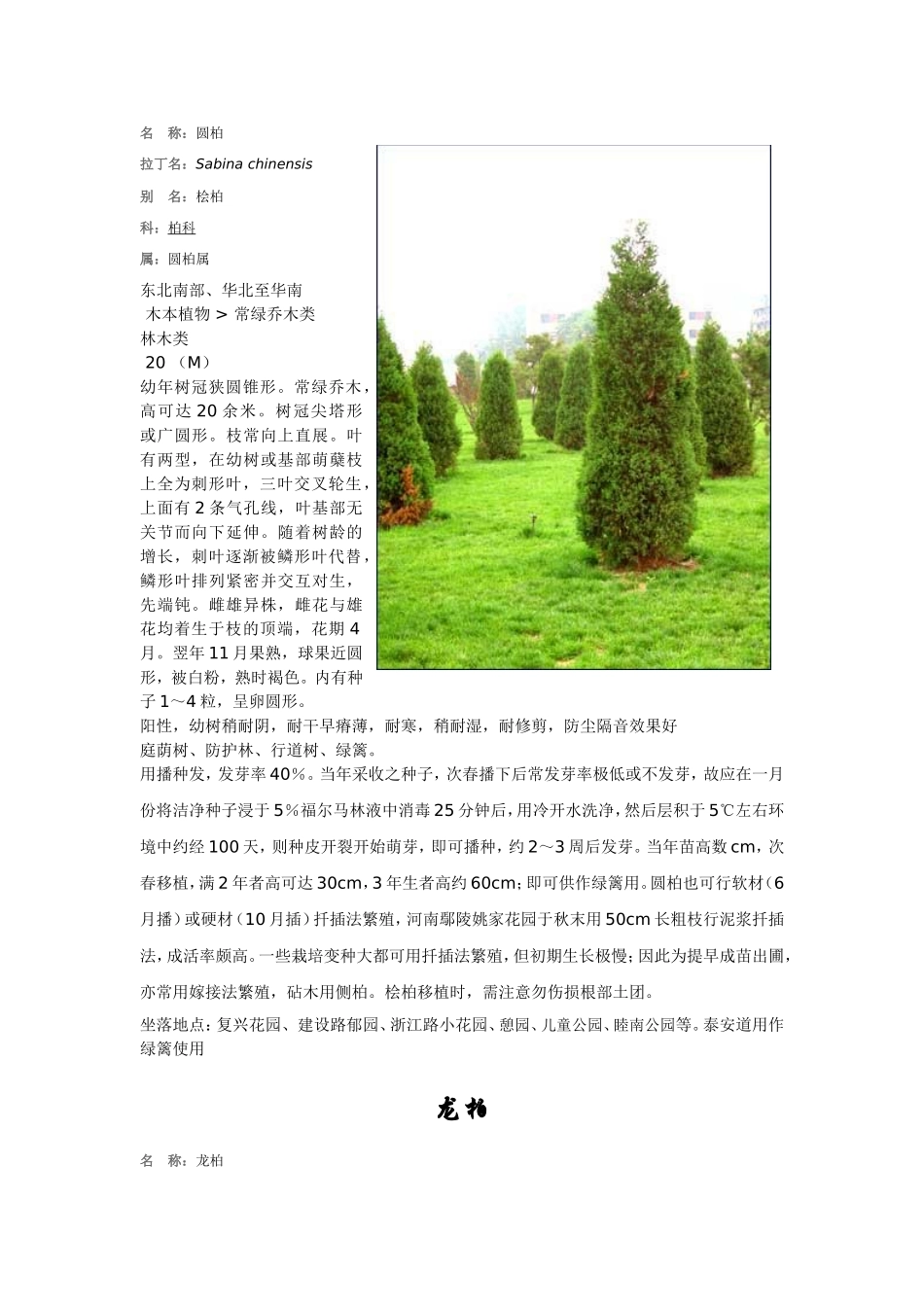 天津市常绿植物表_第2页