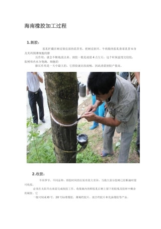 天然橡胶制作过程