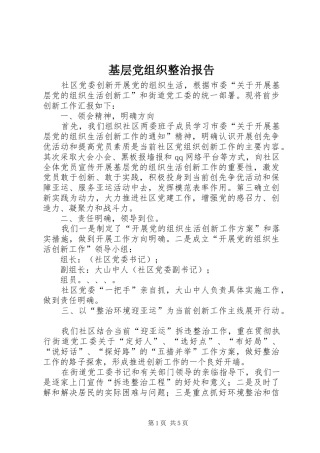 2024年基层党组织整治报告