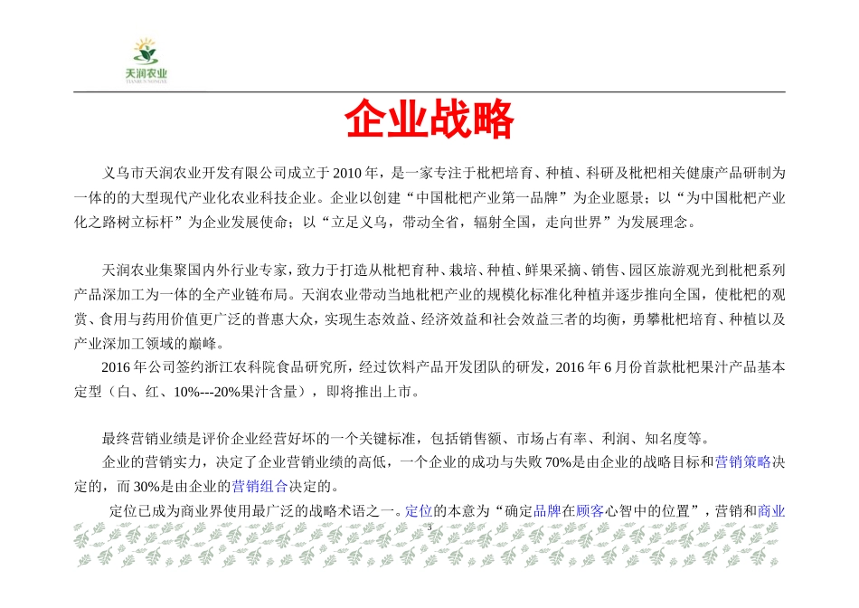天润夏首枇杷汁中高端渠道营销推方案_第3页