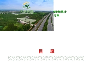 天润夏首枇杷汁中高端渠道营销推方案
