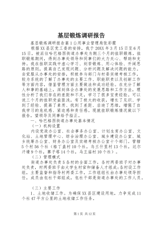 2024年基层锻炼调研报告