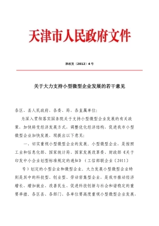 天津市关于大力支持小型微型企业发展的若干意见