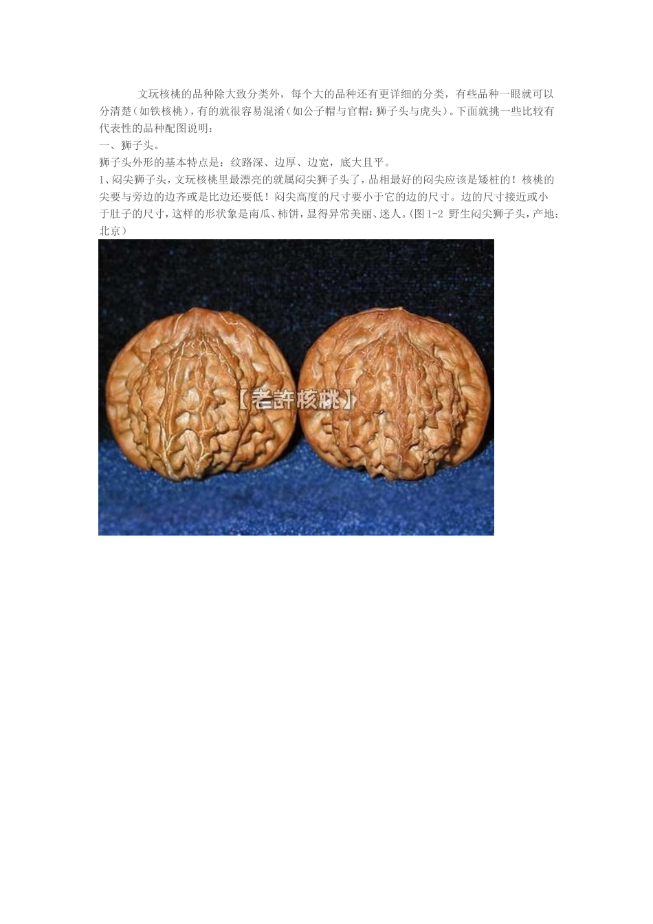 图解文玩核桃的种类和特点(核桃图鉴百)_第1页