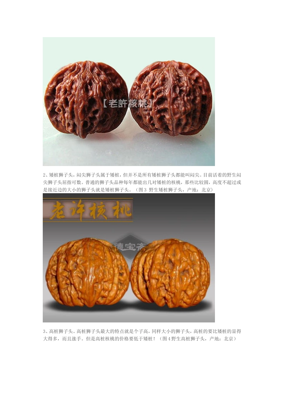 图解文玩核桃的种类和特点(核桃图鉴百)_第2页