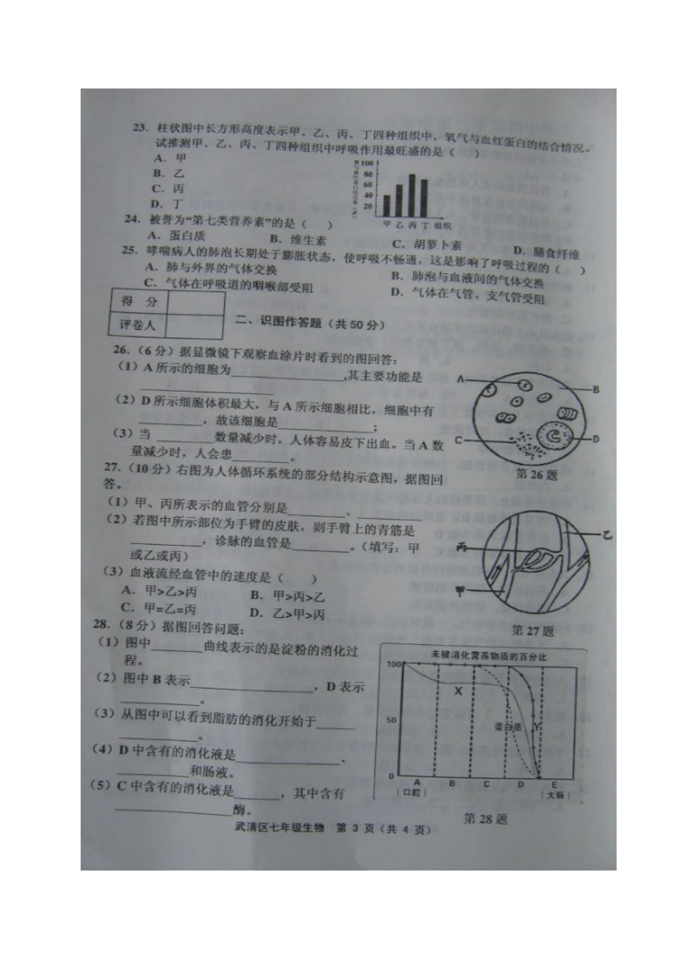 天津市武清区2016-2017学年七年级下学期期中考试生物试题(图片版)(1)_第3页