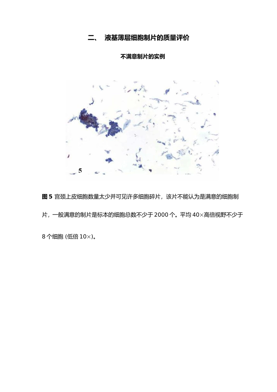 图谱宫颈细胞学_第3页