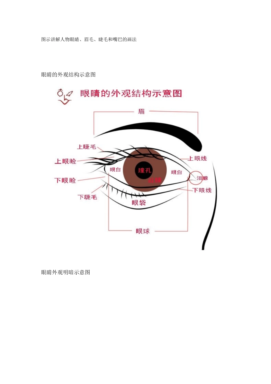 图示讲解人物眼睛_第1页
