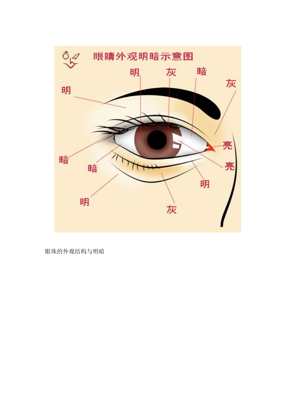 图示讲解人物眼睛_第2页