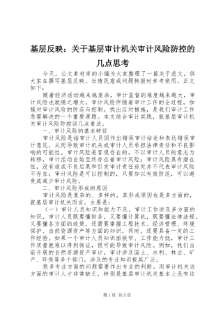 2024年基层反映关于基层审计机关审计风险防控的几点思考