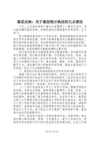 2024年基层反映关于基层统计执法的几点想法