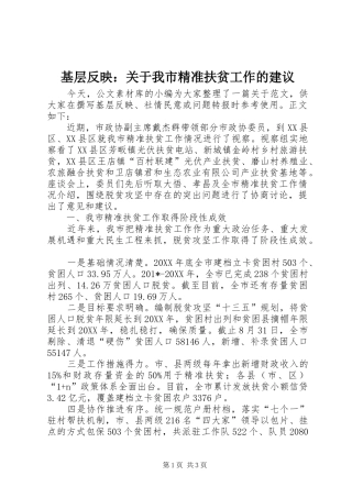 2024年基层反映关于我市精准扶贫工作的建议