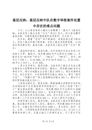 2024年基层反映基层反映中队在数字举报案件处置中存在的难点问题