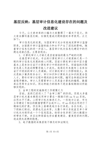 2024年基层反映基层审计信息化建设存在的问题及改进建议