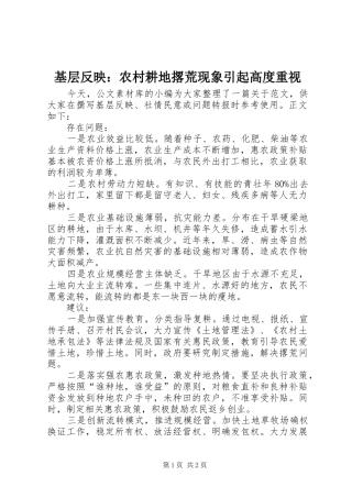 2024年基层反映农村耕地撂荒现象引起高度重视