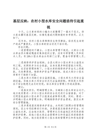 2024年基层反映农村小型水库安全问题亟待引起重视