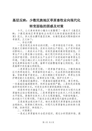 2024年基层反映少数民族地区草原畜牧业向现代化转变面临的困惑及对策