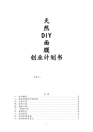 天然DIY面膜创业计划书