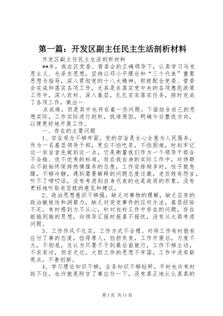 2024年开发区副主任民主生活剖析材料