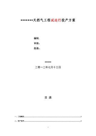天然气工程试运行投产方案