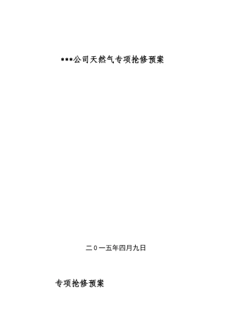 天然气公司专项抢险抢修应急预案