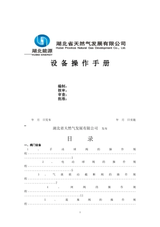 天然气公司作业指导书