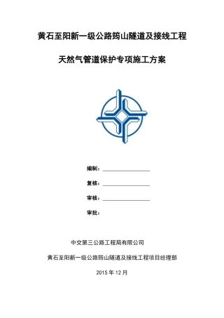 天然气管道保护专项方案