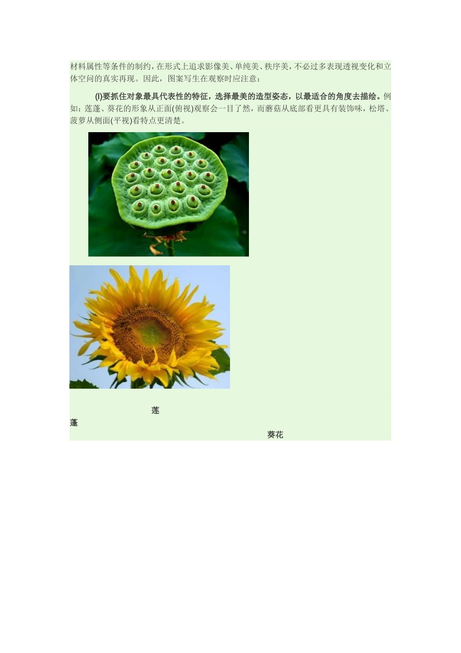 图案基础9-植物图案_第2页