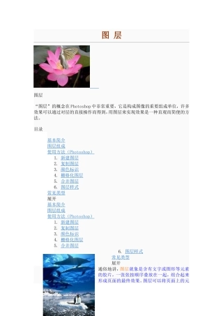 图层的概念及图层的功能