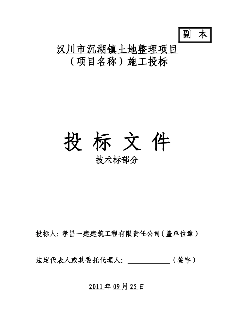 土地整理技术标(同名18690)_第2页
