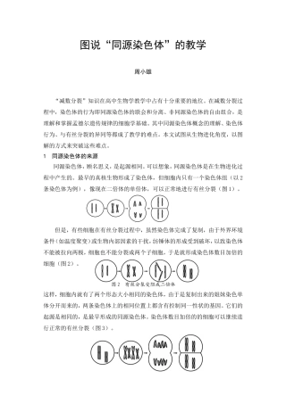 图说“同源染色体”教学