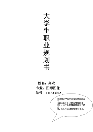图形图像--高欢--111333002