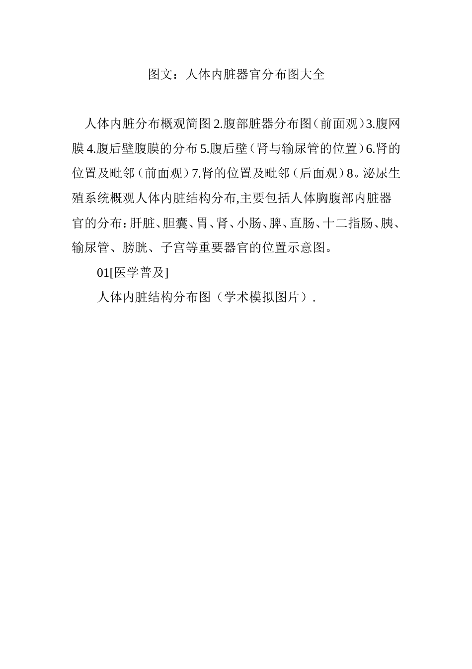图文：人体内脏器官分布图大全_第1页
