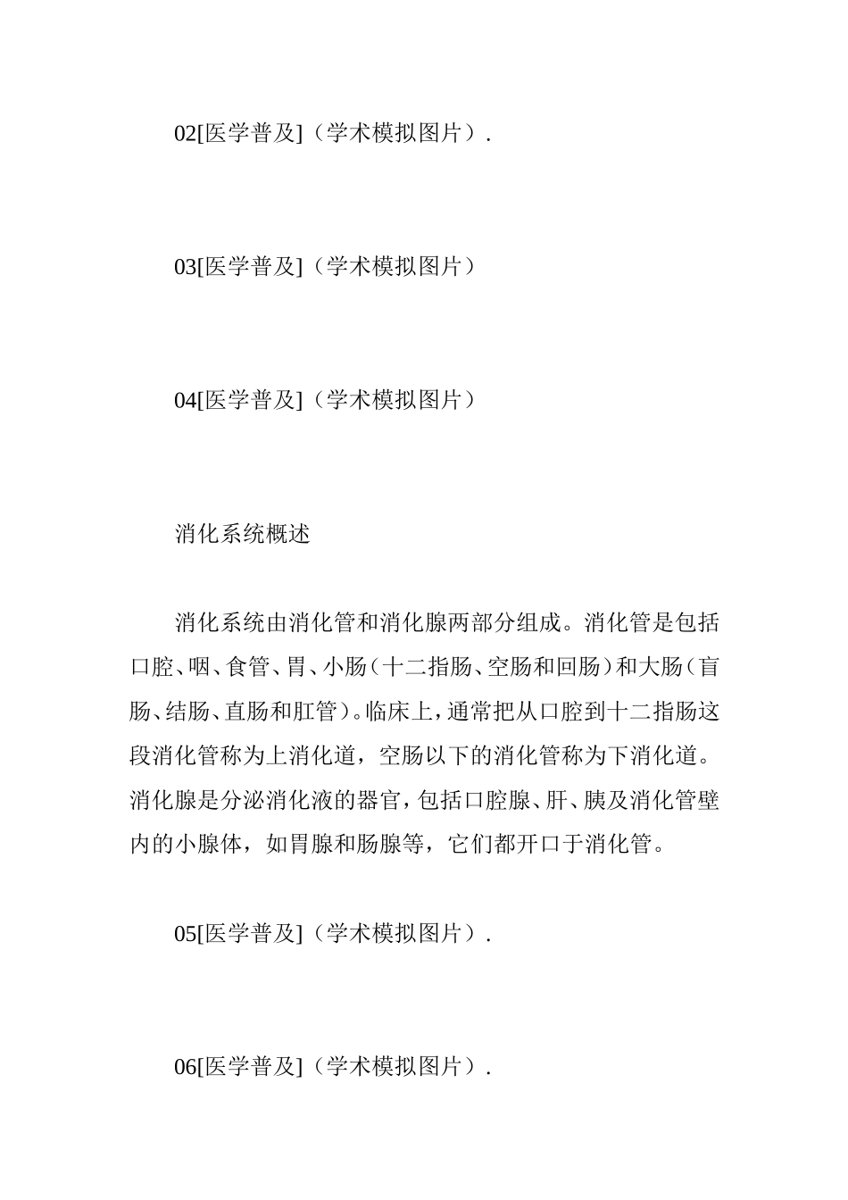 图文：人体内脏器官分布图大全_第2页