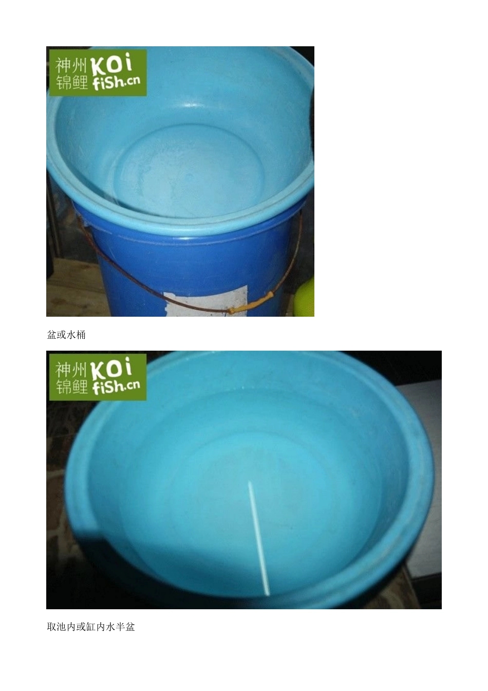 图文锦鲤烂肉穿孔处理及防交叉感染全过程_第2页