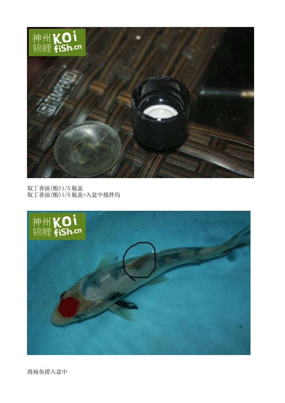 图文锦鲤烂肉穿孔处理及防交叉感染全过程_第3页