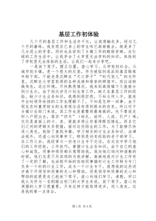2024年基层工作初体验