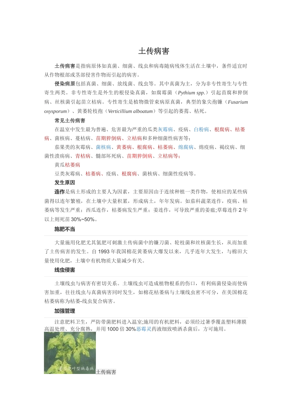 土传病害简介和识别_第1页