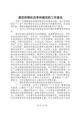 2024年基层供销社改革和建设的工作意见