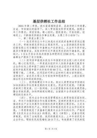 2024年基层供销社工作总结