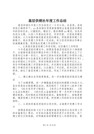 2024年基层供销社年度工作总结